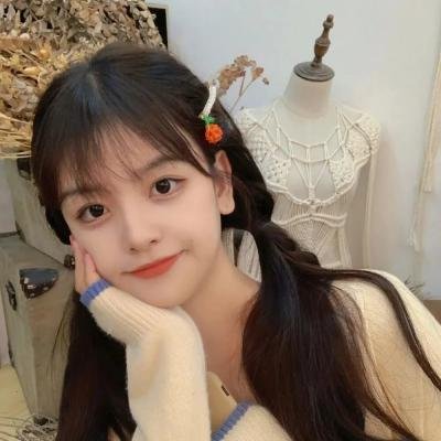 慕尼黑的17天